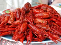 Как варить живых раков?