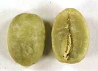 Зеленый кофе: купить в Минске наиболее выгодно