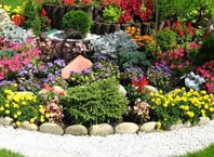 Как устроить альпийскую горькую в квартире?