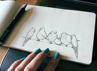 Как рисовать птицу карандашом