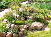 Которые бывают виды альпинария?