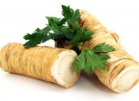 Как приготовить корень сельдереи: пошаговое приготавливание блюда, истинный рецепт