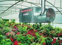 Как сделать отопление теплицы своими руками?