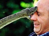 Первая помощь при укусе змеи