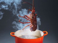 Как правильно варить раков: рецепт?