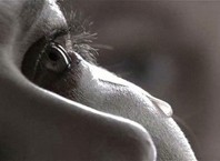 Как пережить горечь потери?