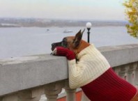 Как выстирать вещь, чтобы она села?