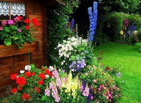 Как оформить палисадник в селе?