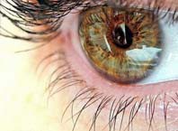 Чему слезятся глаза от компьютера?