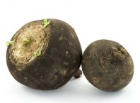 Чем полезная редька черная?