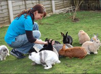 Как заработать в селе?