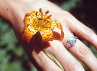 Как сделать бутоньерку своими руками?