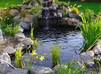 Как оформить озеро на дачном участке: дизайнерские идеи