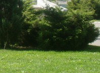 Как узнать стоимость земельного участка, на что обратить внимание?