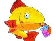 Разбираемся, как пьют рыбы